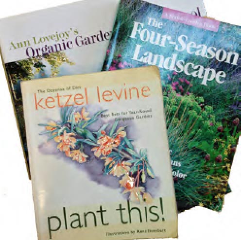 Plant selection and design with Darcy Daniels