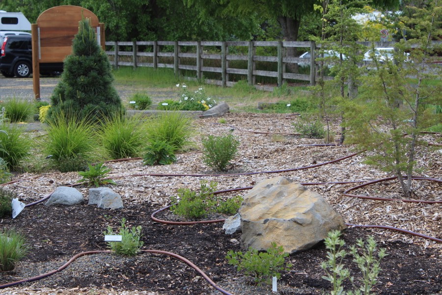 WCMGA Education Garden at PCC Rock Creek