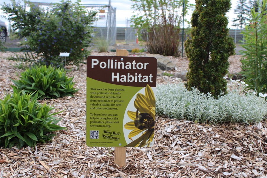 WCMGA Education Garden at PCC Rock Creek