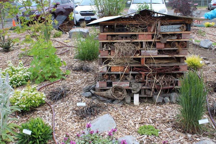 WCMGA Education Garden at PCC Rock Creek