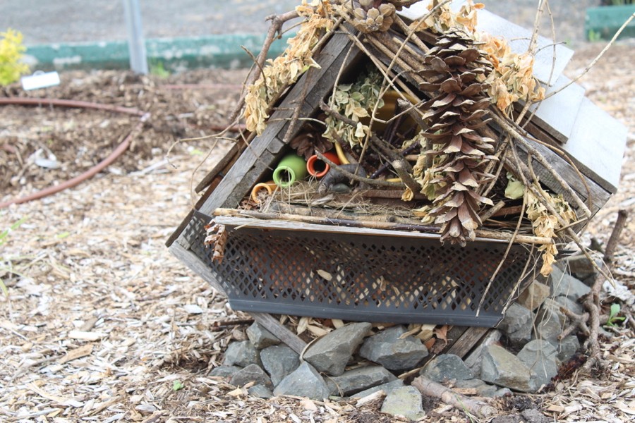 WCMGA Education Garden at PCC Rock Creek