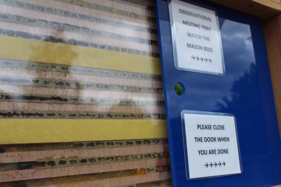 WCMGA Education Garden at PCC Rock Creek