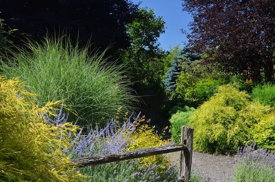 Wildlife Botanical Gardens Portland