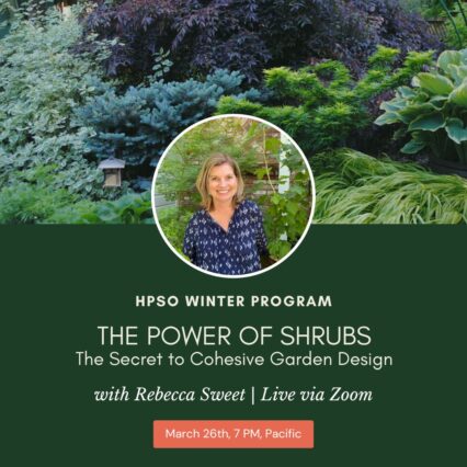 HPSO Winter Program: Rebecca Sweet, ZOOM