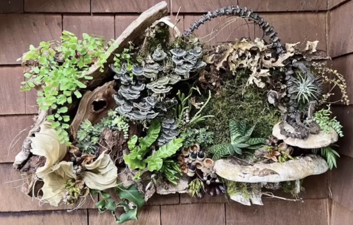 Woodland Frames Workshop with Françoise Weeks - Hardy Plant