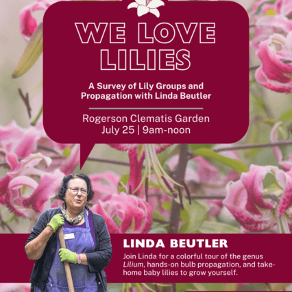 We Love Lilies: A Survey of Lily Groups and Propagation with Linda Beutler